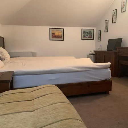 Granat Next To Lift By Bookvillabg *